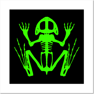 Frog Skeleton (Green) Posters and Art